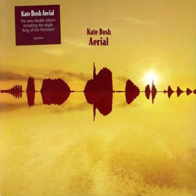 Kate Bush - Aerial (2005) DVD-Audio