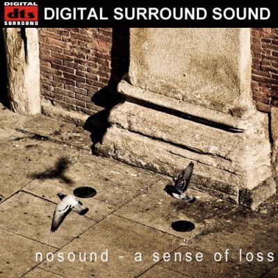 NoSound - A Sense Of Loss (2009) DTS 5.1