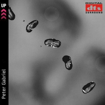 Peter Gabriel - UP! (2002) DTS 5.1