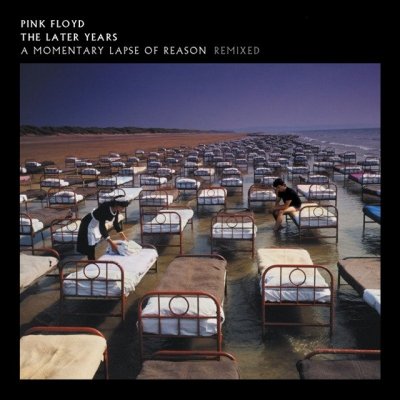 Pink Floyd - A Momentary Lapse Of Reason (2019) DTS 5.1